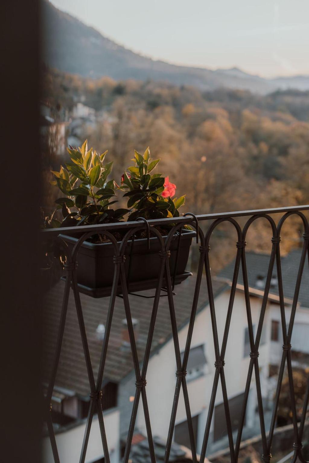 Guesthouse Giulietta E Romeo Cossogno Екстер'єр фото